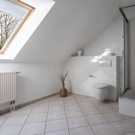 Bernsteinbad-koserow-haus-fuenf-elemente-ferienwohnung-raum דירה Koserow